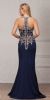 Round Collar Neck Embellished Bodice Long Prom Pageant Dress back